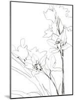 Sketch Lines - Bloom-Kristine Hegre-Mounted Giclee Print