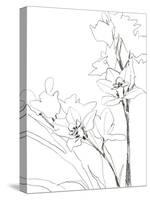 Sketch Lines - Bloom-Kristine Hegre-Stretched Canvas