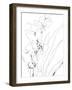 Sketch Lines - Bud-Kristine Hegre-Framed Giclee Print