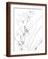 Sketch Lines - Bud-Kristine Hegre-Framed Giclee Print