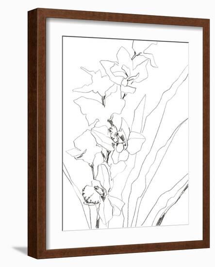 Sketch Lines - Bud-Kristine Hegre-Framed Giclee Print