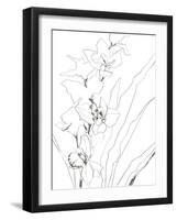 Sketch Lines - Bud-Kristine Hegre-Framed Giclee Print