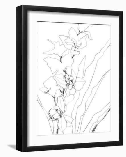 Sketch Lines - Bud-Kristine Hegre-Framed Giclee Print