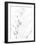 Sketch Lines - Bud-Kristine Hegre-Framed Giclee Print