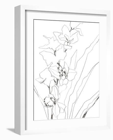 Sketch Lines - Bud-Kristine Hegre-Framed Giclee Print