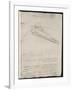 Sketch of a Design for a Flying Machine-Leonardo da Vinci-Framed Photographic Print