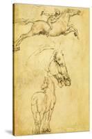Sketch of a Horse-Leonardo da Vinci-Stretched Canvas