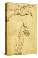 Sketch of a Horse-Leonardo da Vinci-Stretched Canvas