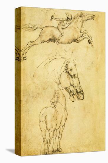 Sketch of a Horse-Leonardo da Vinci-Stretched Canvas