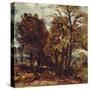 Sketch of a Lane at East Bergholt, C.1810 (Oil on Paper Laid on Canvas)-John Constable-Stretched Canvas