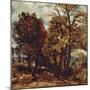 Sketch of a Lane at East Bergholt, C.1810 (Oil on Paper Laid on Canvas)-John Constable-Mounted Giclee Print