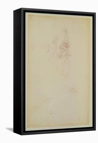 Sketch of a Male Head and Two Legs-Michelangelo Buonarroti-Framed Stretched Canvas