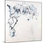 Sketch of a Moment-Karolina Susslandova-Mounted Giclee Print