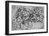 'Sketch of a Plant', c1480 (1945)-Leonardo Da Vinci-Framed Giclee Print