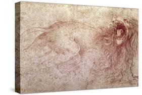 Sketch of a Roaring Lion-Leonardo da Vinci-Stretched Canvas