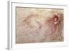 Sketch of a Roaring Lion-Leonardo da Vinci-Framed Giclee Print