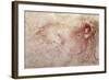 Sketch of a Roaring Lion-Leonardo da Vinci-Framed Giclee Print