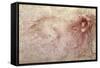 Sketch of a Roaring Lion-Leonardo da Vinci-Framed Stretched Canvas