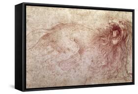 Sketch of a Roaring Lion-Leonardo da Vinci-Framed Stretched Canvas