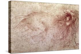 Sketch of a Roaring Lion-Leonardo da Vinci-Stretched Canvas