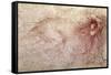 Sketch of a Roaring Lion-Leonardo da Vinci-Framed Stretched Canvas