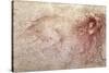 Sketch of a Roaring Lion-Leonardo da Vinci-Stretched Canvas