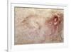 Sketch of a Roaring Lion-Leonardo da Vinci-Framed Giclee Print