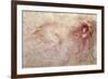 Sketch of a Roaring Lion-Leonardo da Vinci-Framed Giclee Print