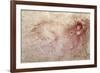 Sketch of a Roaring Lion-Leonardo da Vinci-Framed Giclee Print