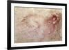 Sketch of a Roaring Lion-Leonardo da Vinci-Framed Giclee Print