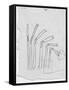 Sketch of Flexible Straw, circa late 1930s; Archives Center, NMAH-null-Framed Stretched Canvas