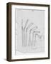 Sketch of Flexible Straw, circa late 1930s; Archives Center, NMAH-null-Framed Art Print