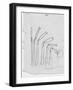 Sketch of Flexible Straw, circa late 1930s; Archives Center, NMAH-null-Framed Art Print