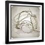 Sketch Of Headphones On The Background With Floral Patterns--Vladimir--Framed Art Print