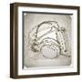 Sketch Of Headphones On The Background With Floral Patterns--Vladimir--Framed Art Print