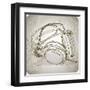 Sketch Of Headphones On The Background With Floral Patterns--Vladimir--Framed Art Print