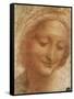 Sketch of Saint Anne, 1500-Leonardo da Vinci-Framed Stretched Canvas