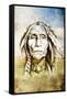 Sketch Of Tattoo Art, Indian Head Over Field Background-outsiderzone-Framed Stretched Canvas