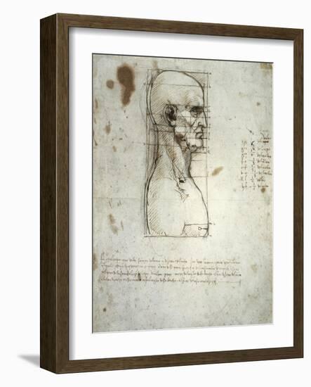 Sketch of the Head Proportions Base on Vitruvius-Leonardo da Vinci-Framed Art Print