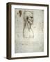 Sketch of the Head Proportions Base on Vitruvius-Leonardo da Vinci-Framed Art Print