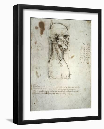 Sketch of the Head Proportions Base on Vitruvius-Leonardo da Vinci-Framed Art Print