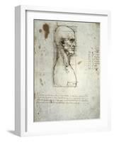 Sketch of the Head Proportions Base on Vitruvius-Leonardo da Vinci-Framed Art Print