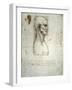 Sketch of the Head Proportions Base on Vitruvius-Leonardo da Vinci-Framed Art Print