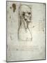 Sketch of the Head Proportions Base on Vitruvius-Leonardo da Vinci-Mounted Art Print