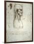 Sketch of the Head Proportions Base on Vitruvius-Leonardo da Vinci-Framed Art Print