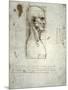 Sketch of the Head Proportions Base on Vitruvius-Leonardo da Vinci-Mounted Art Print