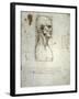 Sketch of the Head Proportions Base on Vitruvius-Leonardo da Vinci-Framed Art Print