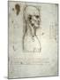 Sketch of the Head Proportions Base on Vitruvius-Leonardo da Vinci-Mounted Art Print