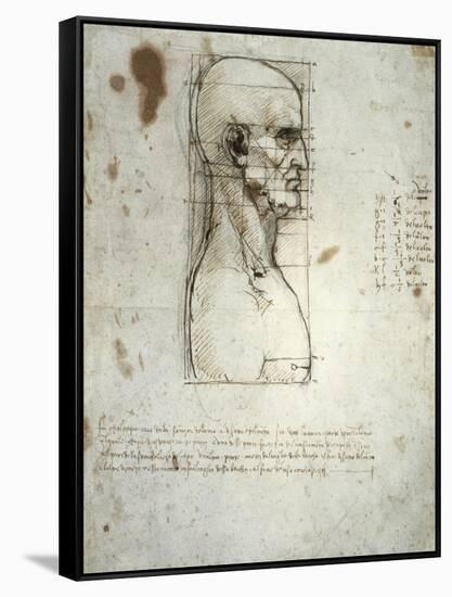 Sketch of the Head Proportions Base on Vitruvius-Leonardo da Vinci-Framed Stretched Canvas