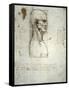 Sketch of the Head Proportions Base on Vitruvius-Leonardo da Vinci-Framed Stretched Canvas